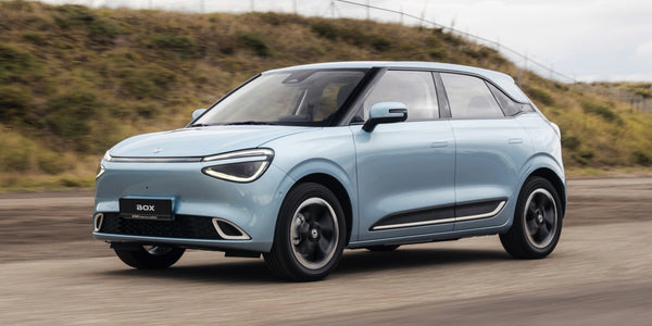 Dongfeng Box Kabel do ładowania