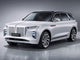 Charging cable Hongqi E-HS9